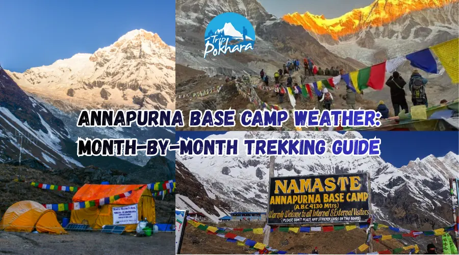 Annapurna Base Camp (ABC) Weather: A Month-by-Month Guide on the Best Time to Trek